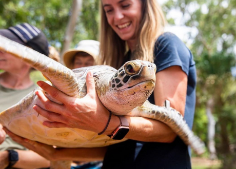 Woman holding turtle